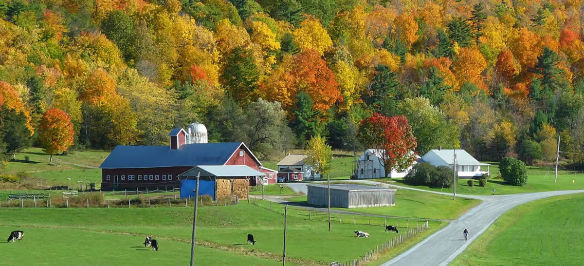 Vermont Fall Foliage