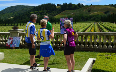 Pure-Cycling Bike Tours